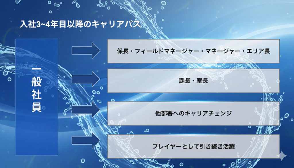 入社3~4年目以降のキャリアパス