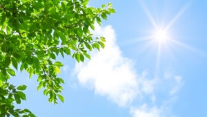 タッチレス水栓に関するエコ