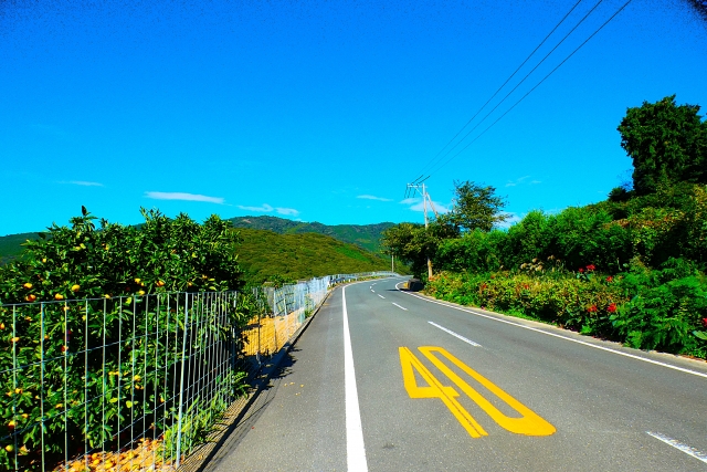 夏の風景
